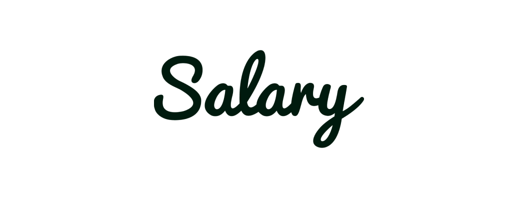 Salary loensystem logo@2