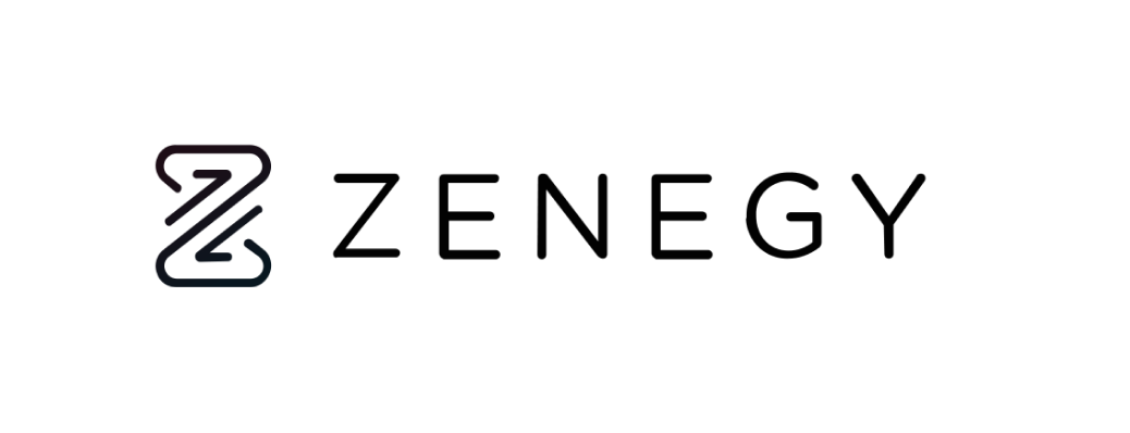 Zenegy loensystem logo@2